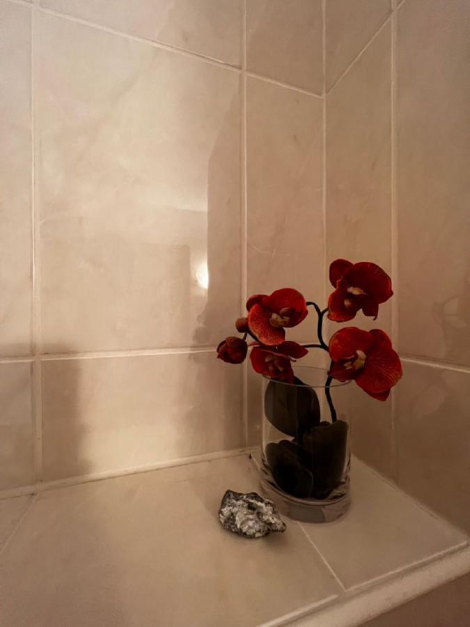 דירות פינברג Rosenfeld 2 מראה חיצוני תמונה